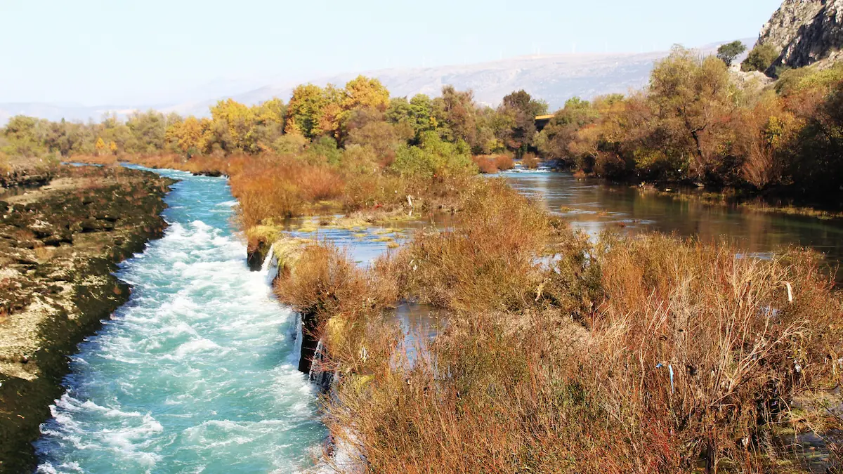 Sonbaharda akarsu ve ağaçlarla çevrili doğal manzara, mevsimsel çevreyi temsilen