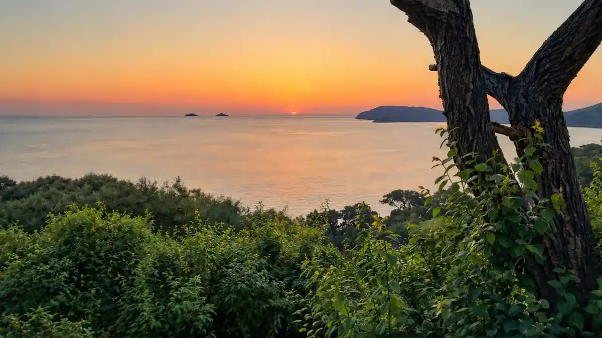 Yas ve kayıp sürecini yansıtan, İstanbul Adalar'dan gün batımında sakin bir deniz manzarası