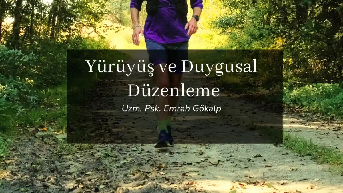 Ormanda yürüyen bir kişi, yürüyüş ve duygusal düzenleme temasını temsilen